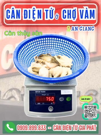 C&acirc;n điện tử ở Chợ V&agrave;m An Giang - C&acirc;n Gia Ph&aacute;t