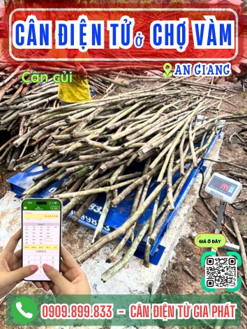 C&acirc;n điện tử ở Chợ V&agrave;m An Giang - C&acirc;n Gia Ph&aacute;t