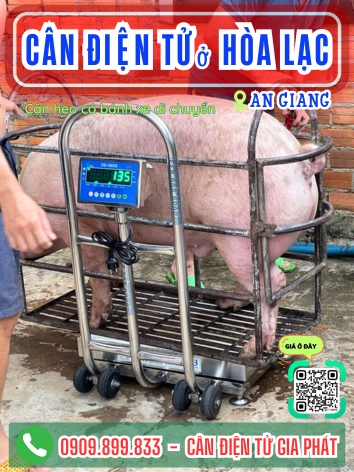 C&acirc;n điện tử ở H&ograve;a Lạc An Giang - C&acirc;n Gia Ph&aacute;t