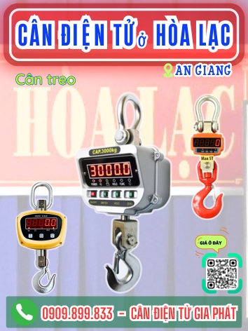 C&acirc;n điện tử ở H&ograve;a Lạc An Giang - C&acirc;n Gia Ph&aacute;t