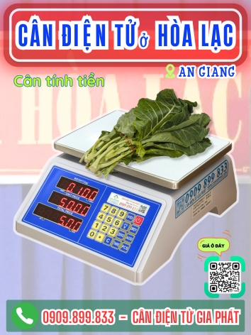 C&acirc;n điện tử ở H&ograve;a Lạc An Giang - C&acirc;n Gia Ph&aacute;t