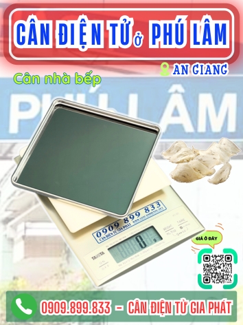 C&acirc;n điện tử ở Ph&uacute; L&acirc;m An Giang - C&acirc;n Gia Ph&aacute;t