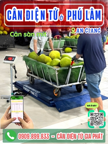 C&acirc;n điện tử ở Ph&uacute; L&acirc;m An Giang - C&acirc;n Gia Ph&aacute;t