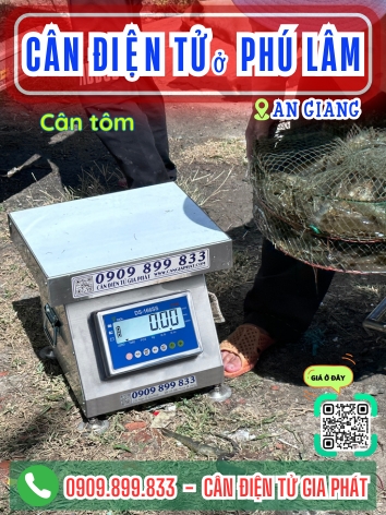 C&acirc;n điện tử ở Ph&uacute; L&acirc;m An Giang - C&acirc;n Gia Ph&aacute;t