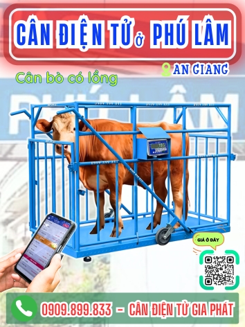 C&acirc;n điện tử ở Ph&uacute; L&acirc;m An Giang - C&acirc;n Gia Ph&aacute;t