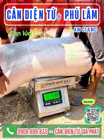 C&acirc;n điện tử ở Ph&uacute; L&acirc;m An Giang - C&acirc;n Gia Ph&aacute;t