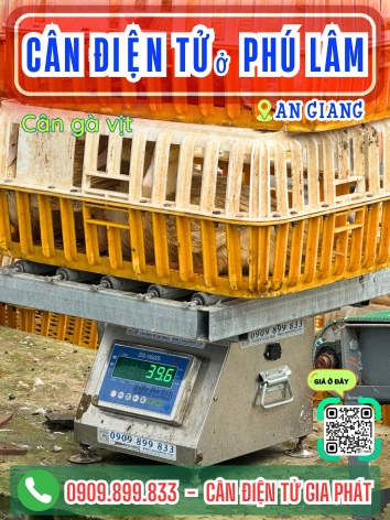 C&acirc;n điện tử ở Ph&uacute; L&acirc;m An Giang - C&acirc;n Gia Ph&aacute;t