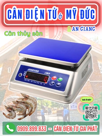 C&acirc;n điện tử ở Mỹ Đức An Giang - C&acirc;n Gia Ph&aacute;t