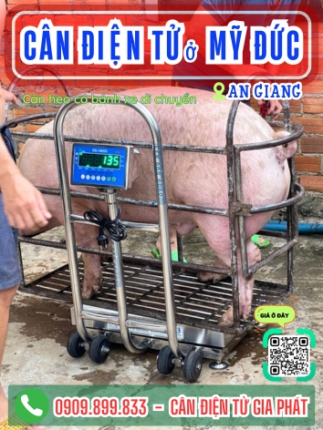 C&acirc;n điện tử ở Mỹ Đức An Giang - C&acirc;n Gia Ph&aacute;t