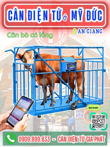 Cân điện tử ở Mỹ Đức An Giang - Cân Gia Phát