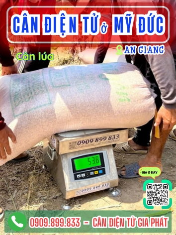 Cân điện tử ở Mỹ Đức An Giang - Cân Gia Phát