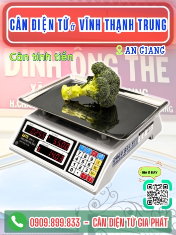 C&acirc;n điện tử ở Vĩnh Thạnh Trung An Giang - C&acirc;n Gia Ph&aacute;t