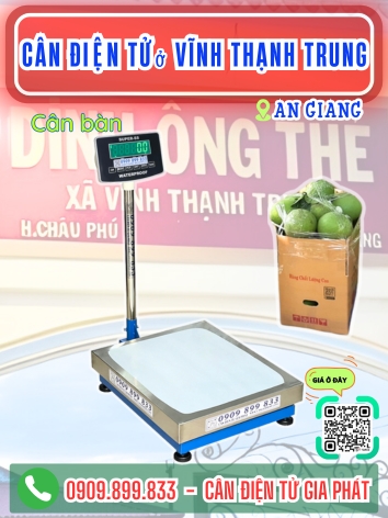 C&acirc;n điện tử ở Vĩnh Thạnh Trung An Giang - C&acirc;n Gia Ph&aacute;t