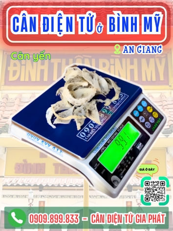 Cân điện tử ở Bình Mỹ An Giang - Cân Gia Phát