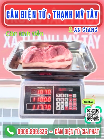 C&acirc;n điện tử ở Thạnh Mỹ T&acirc;y An Giang - C&acirc;n Gia Ph&aacute;t