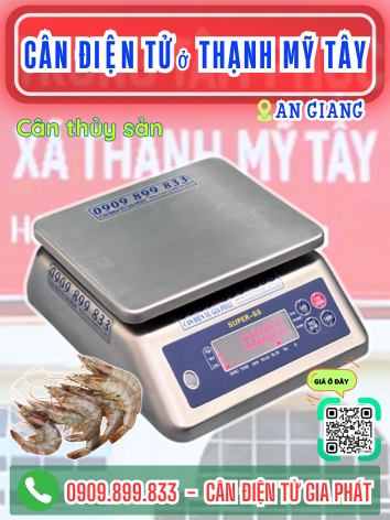 C&acirc;n điện tử ở Thạnh Mỹ T&acirc;y An Giang - C&acirc;n Gia Ph&aacute;t