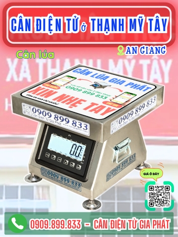 C&acirc;n điện tử ở Thạnh Mỹ T&acirc;y An Giang - C&acirc;n Gia Ph&aacute;t