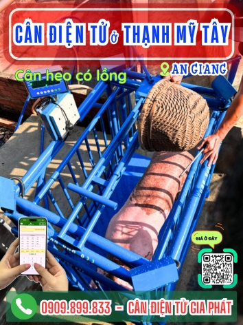 C&acirc;n điện tử ở Thạnh Mỹ T&acirc;y An Giang - C&acirc;n Gia Ph&aacute;t