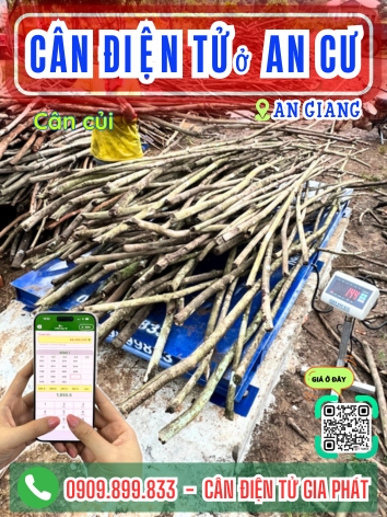 Cân điện tử ở An Cư An Giang - Cân Gia Phát