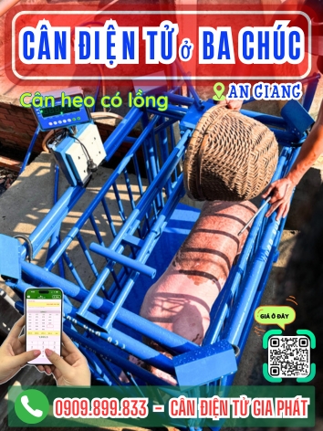 C&acirc;n điện tử ở Ba Ch&uacute;c An Giang - C&acirc;n Gia Ph&aacute;t