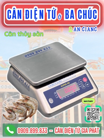 C&acirc;n điện tử ở Ba Ch&uacute;c An Giang - C&acirc;n Gia Ph&aacute;t