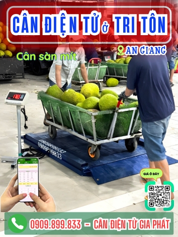 C&acirc;n điện tử ở Tri T&ocirc;n An Giang - C&acirc;n Gia Ph&aacute;t