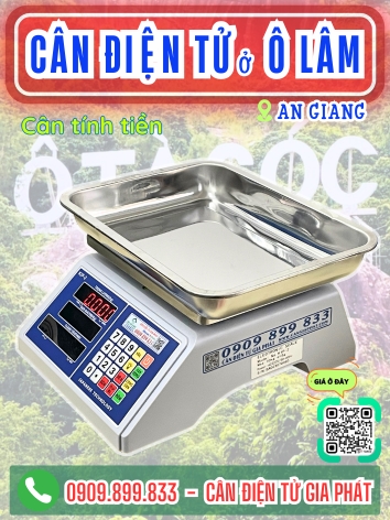 C&acirc;n điện tử ở &Ocirc; L&acirc;m An Giang - C&acirc;n Gia Ph&aacute;t