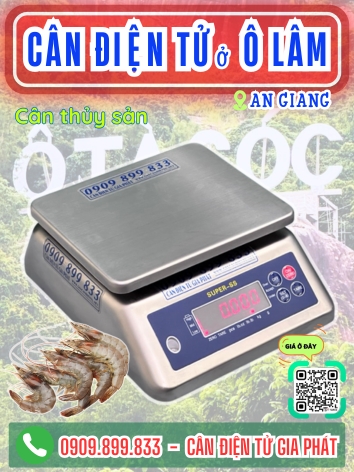 C&acirc;n điện tử ở &Ocirc; L&acirc;m An Giang - C&acirc;n Gia Ph&aacute;t