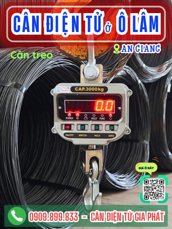 C&acirc;n điện tử ở &Ocirc; L&acirc;m An Giang - C&acirc;n Gia Ph&aacute;t