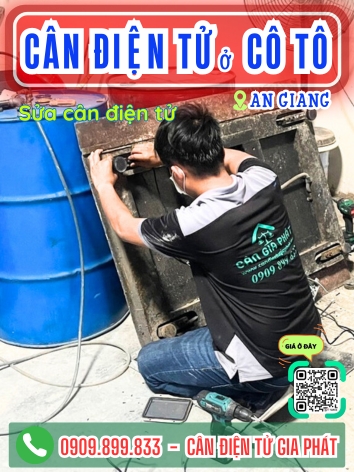 C&acirc;n điện tử ở C&ocirc; T&ocirc; An Giang - C&acirc;n Gia Ph&aacute;t