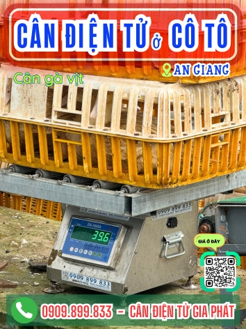 C&acirc;n điện tử ở C&ocirc; T&ocirc; An Giang - C&acirc;n Gia Ph&aacute;t
