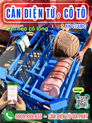 C&acirc;n điện tử ở C&ocirc; T&ocirc; An Giang - C&acirc;n Gia Ph&aacute;t