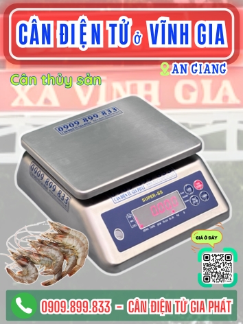 C&acirc;n điện tử ở Vĩnh Gia An Giang - C&acirc;n Gia Ph&aacute;t