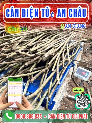 Cân điện tử ở An Châu An Giang - Cân Gia Phát