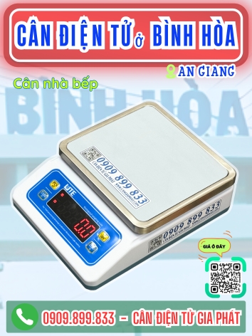 C&acirc;n điện tử ở B&igrave;nh H&ograve;a An Giang - C&acirc;n Gia Ph&aacute;t