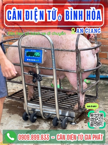 C&acirc;n điện tử ở B&igrave;nh H&ograve;a An Giang - C&acirc;n Gia Ph&aacute;t