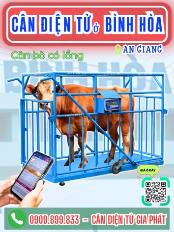 C&acirc;n điện tử ở B&igrave;nh H&ograve;a An Giang - C&acirc;n Gia Ph&aacute;t