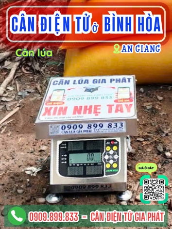 C&acirc;n điện tử ở B&igrave;nh H&ograve;a An Giang - C&acirc;n Gia Ph&aacute;t