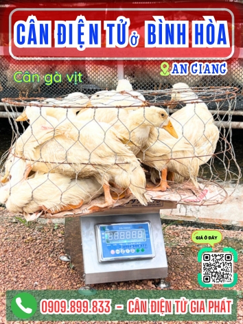 C&acirc;n điện tử ở B&igrave;nh H&ograve;a An Giang - C&acirc;n Gia Ph&aacute;t