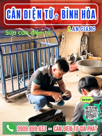 C&acirc;n điện tử ở B&igrave;nh H&ograve;a An Giang - C&acirc;n Gia Ph&aacute;t