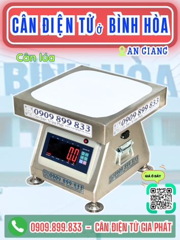 C&acirc;n điện tử ở B&igrave;nh H&ograve;a An Giang - C&acirc;n Gia Ph&aacute;t