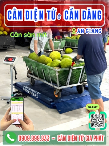 C&acirc;n điện tử ở Cần Đăng An Giang - C&acirc;n Gia Ph&aacute;t