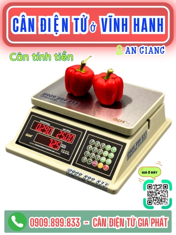 C&acirc;n điện tử ở Vĩnh Hanh An Giang - C&acirc;n Gia Ph&aacute;t