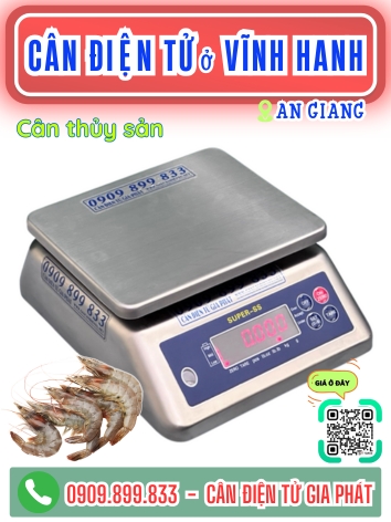 C&acirc;n điện tử ở Vĩnh Hanh An Giang - C&acirc;n Gia Ph&aacute;t