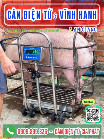 C&acirc;n điện tử ở Vĩnh Hanh An Giang - C&acirc;n Gia Ph&aacute;t