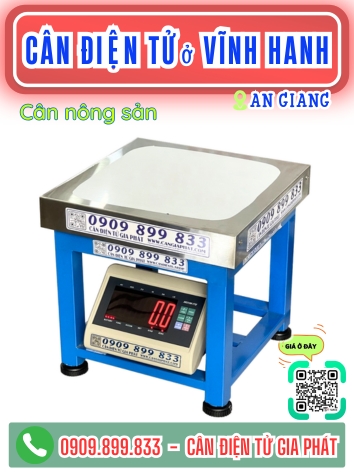 C&acirc;n điện tử ở Vĩnh Hanh An Giang - C&acirc;n Gia Ph&aacute;t
