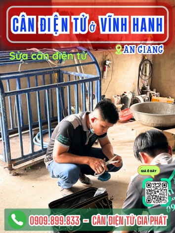 C&acirc;n điện tử ở Vĩnh Hanh An Giang - C&acirc;n Gia Ph&aacute;t