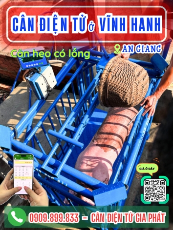 C&acirc;n điện tử ở Vĩnh Hanh An Giang - C&acirc;n Gia Ph&aacute;t