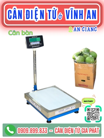 C&acirc;n điện tử ở Vĩnh An An Giang - C&acirc;n Gia Ph&aacute;t
