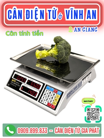 Cân điện tử ở Vĩnh An An Giang - Cân Gia Phát